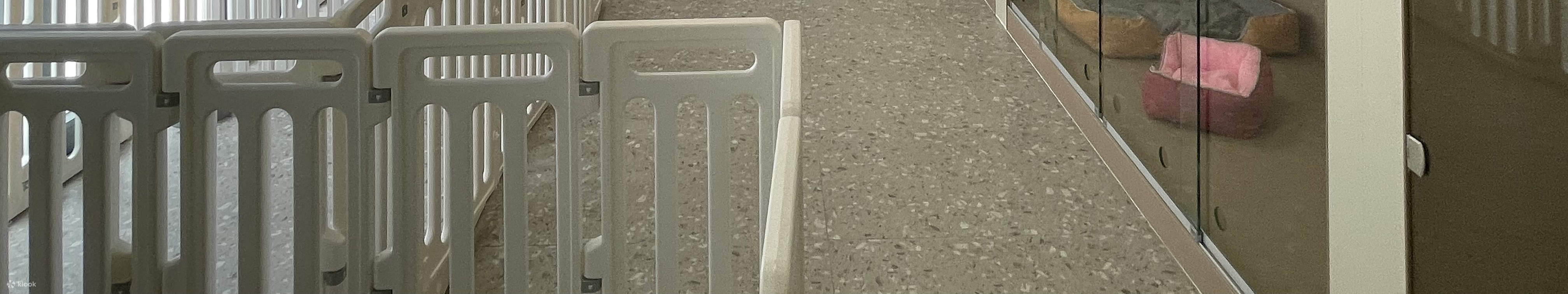 Dog Hotel Rooms Area